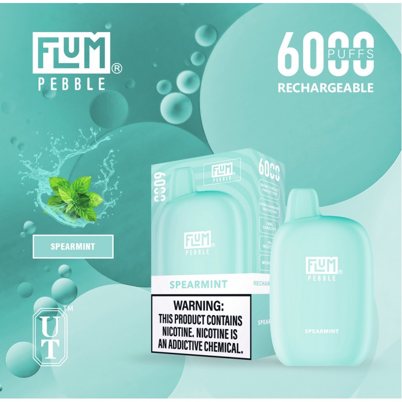 FLUM PEBBLE 5% DISPOSABLE 6000 PUFFS BOX OF 10