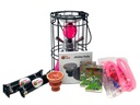 TANYA KIT HOOKAH CAGE KIT