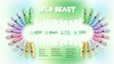 WILD BEAST DISPOSABLE 4000 PUFFS BOX OF 10